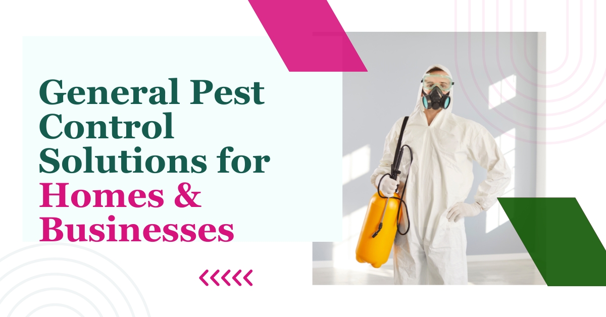 Home & Business Pest Solutions | ES Bug-Masters